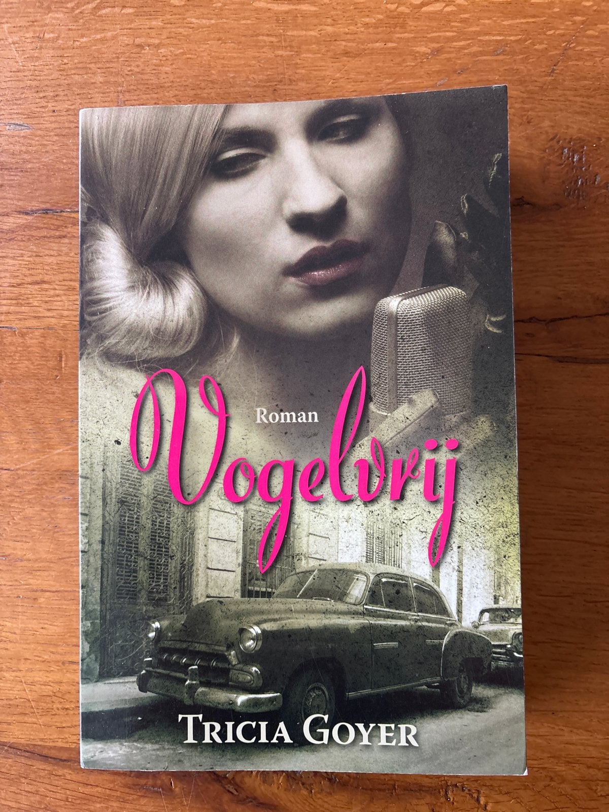Tricia Goyer - Vogelvrij, Boeken, Ophalen of Verzenden, Zo goed als nieuw, Tricia Goyer