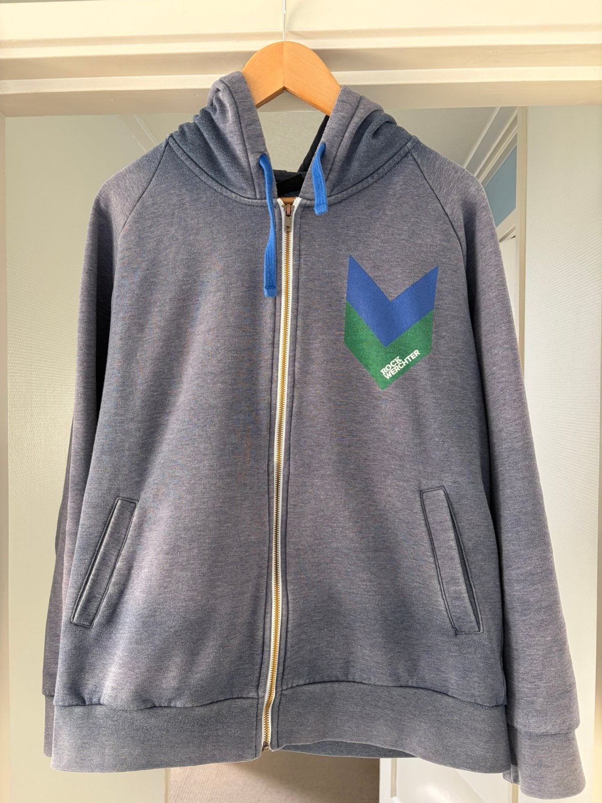 Originele Rock Werchter hoodie met rits, Ophalen of Verzenden, Gedragen, Maat 48/50 (M)