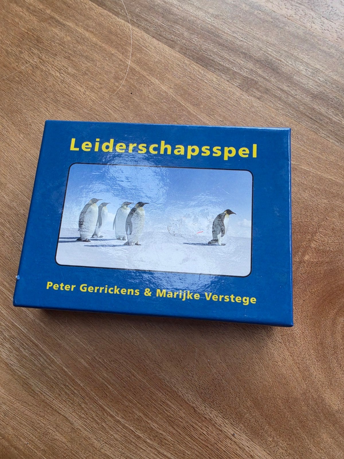 Leiderschapsspel - Peter Gerrickens & Marijke Verstege, Hobby en Vrije tijd, Drie of vier spelers, Ophalen of Verzenden, Zo goed als nieuw