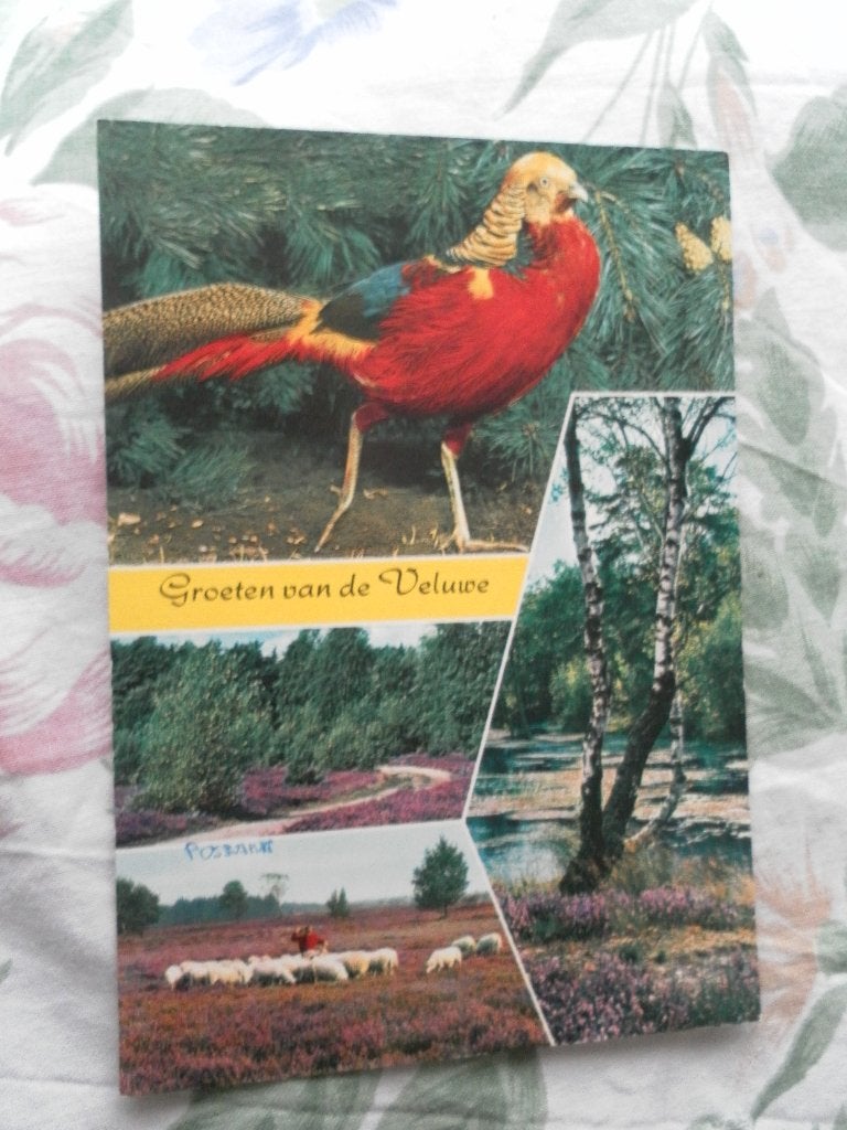 kaart groeten van de Veluwe, Ophalen of Verzenden, 1960 tot 1980, Gelopen, Gelderland