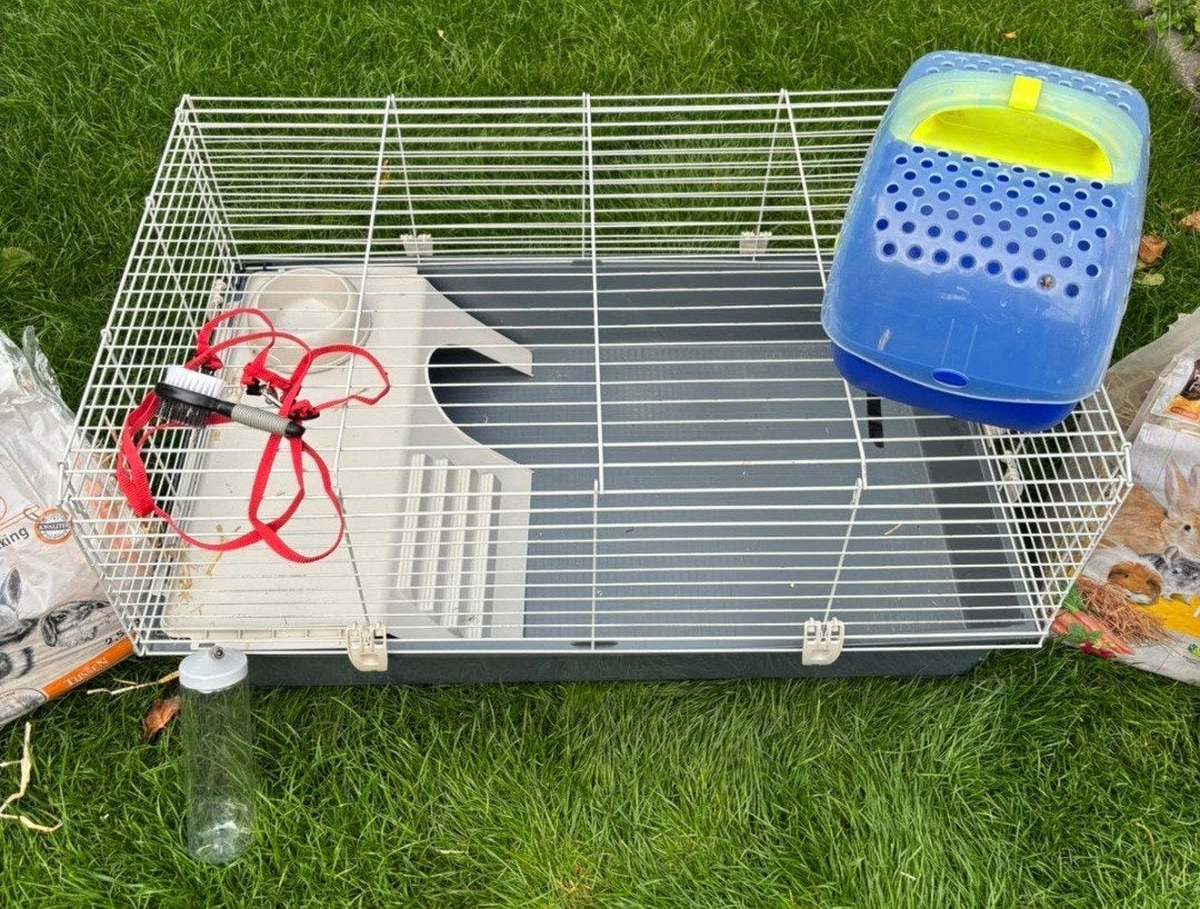 cavia of dwergkonijnenhok, Dieren en Toebehoren, Zo goed als nieuw, Konijn, Hok, 75 tot 110 cm
