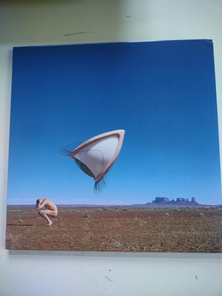 Alternative rock THE CRANBERRIES : BURY THE HATCHET 2lp set, 1990 - 1999, Alternative, Ophalen of Verzenden, Zo goed als nieuw