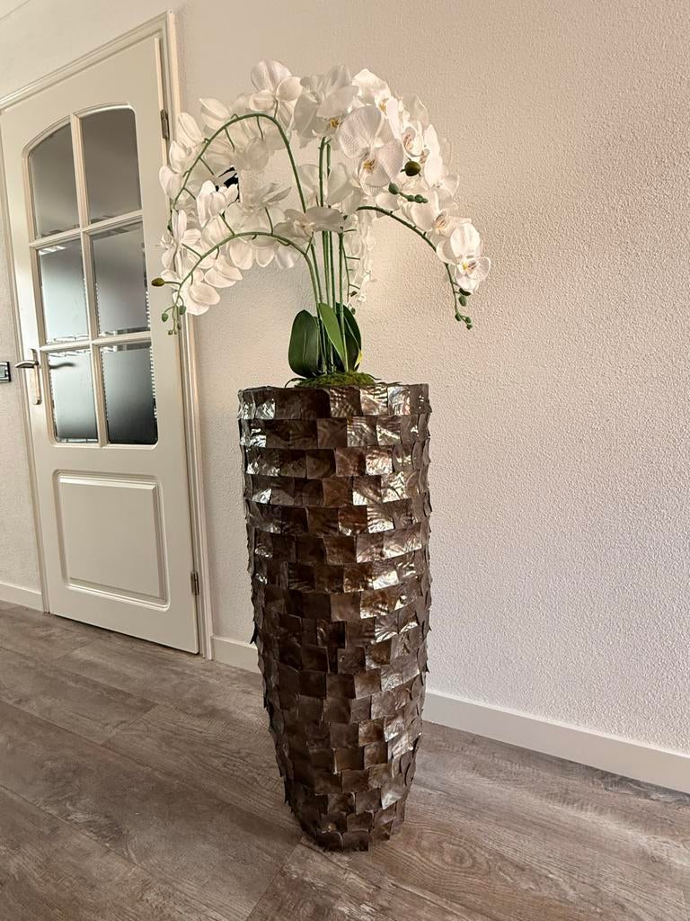 Grote Schelpenvaas Mother of Pearl antraciet 90 cm, Ophalen, Overige materialen, Gebruikt, Overige kleuren