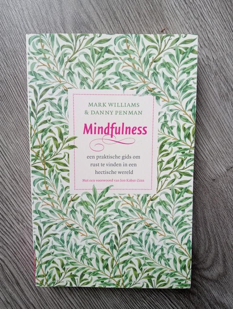 Mindfulness - Mark Williams & Danny Penman, Boeken, Ophalen of Verzenden, Zo goed als nieuw
