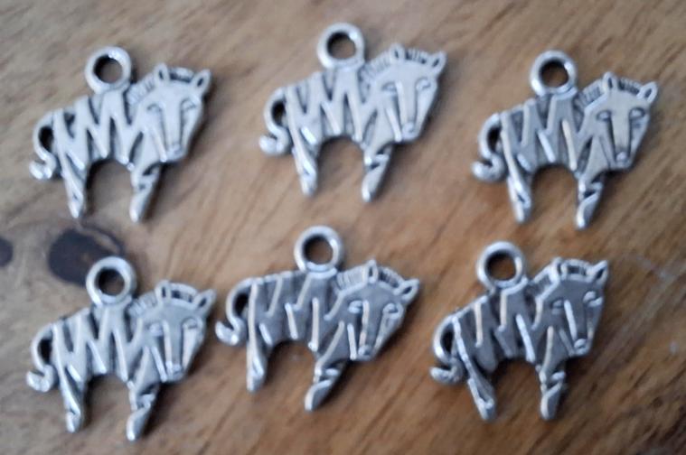 6 stuks bedel Gnoe. 19,4x16,2 mm., Ophalen of Verzenden, Nieuw, Bedel