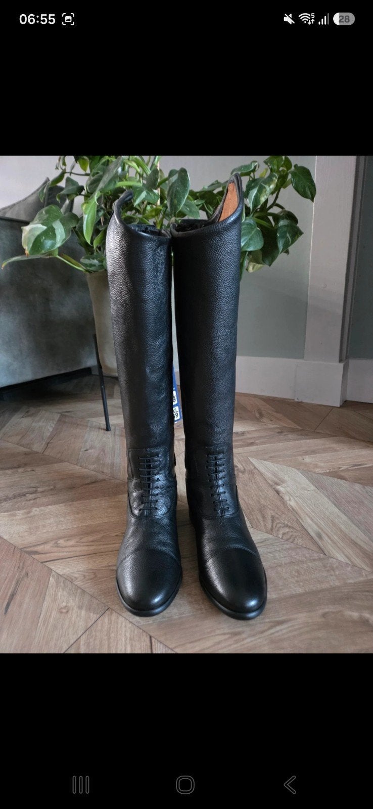 Donatelli Harry's Horse leren rijlaarzen maat 39 xl kuitmaat, Dieren en Toebehoren, Ritssluiting, Dressuur, Overige typen, Nieuw