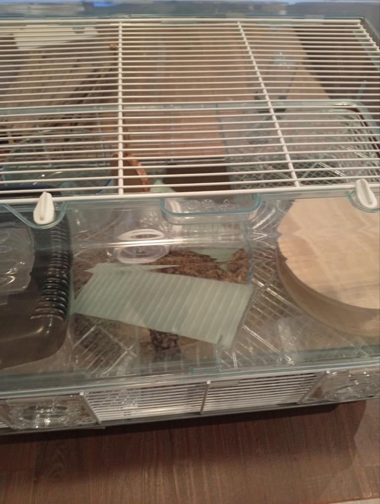 Zgan mooi hamster of muisjes hok, Dieren en Toebehoren, Minder dan 75 cm, Zo goed als nieuw, Ophalen, Minder dan 60 cm
