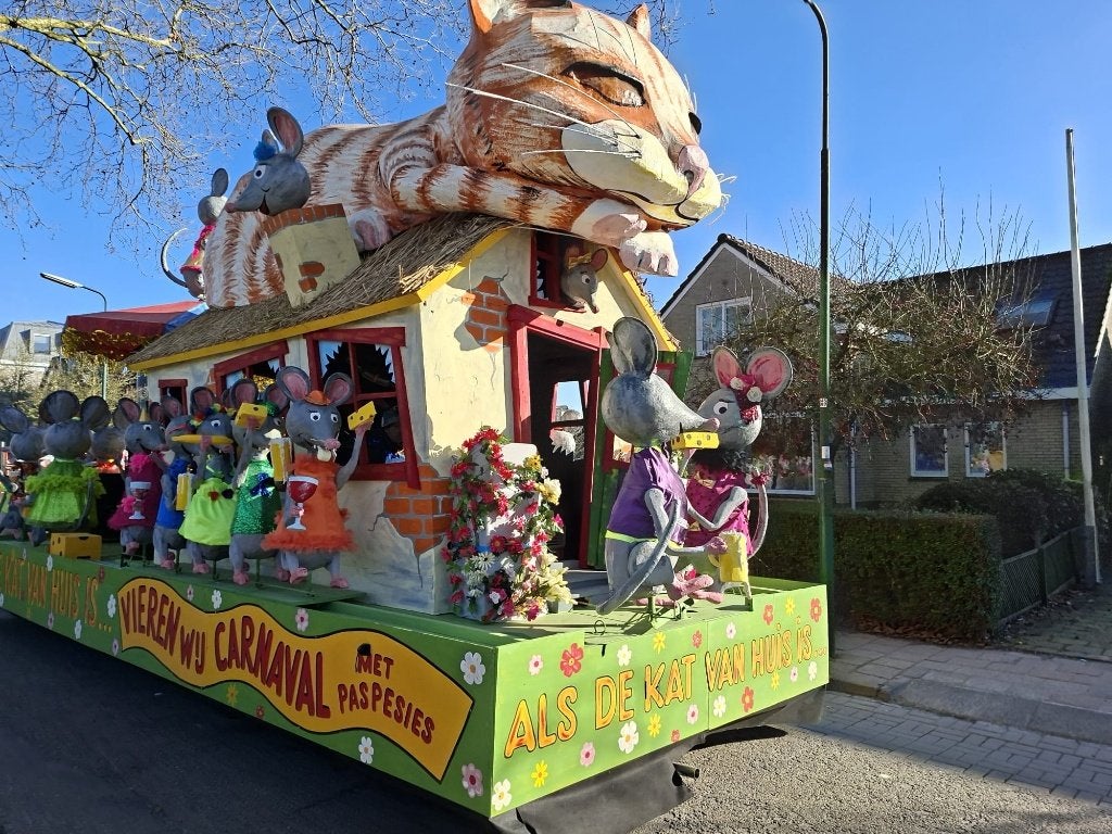 Kaas, muizen en poezen compleet  carnaval voor 18 personen, Ophalen of Verzenden, Gebruikt, Dier