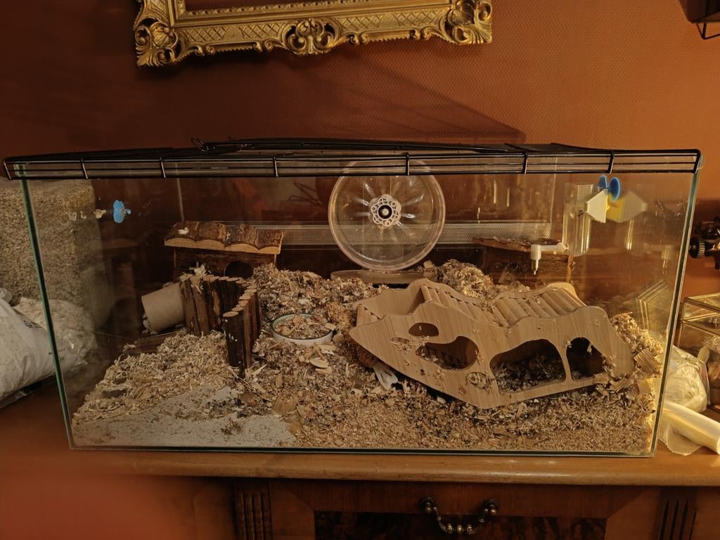 hamsterverblijf/terrarium/kooi 75x45x37, Gebruikt, 75 tot 110 cm, Ophalen, Minder dan 60 cm