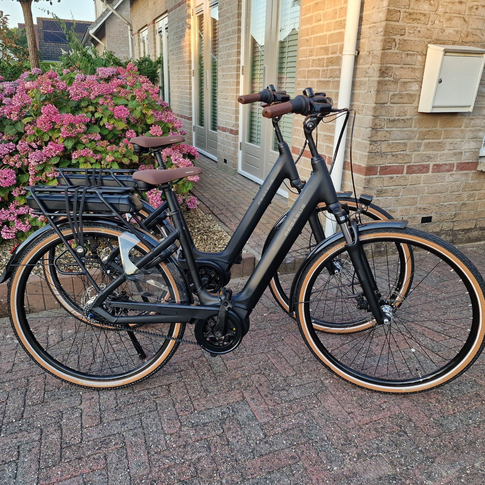 Nieuwe Pegasus met riemaandrijving en middenmotor, Fietsen en Brommers, Elektrische fietsen, Nieuw, 59 cm of meer, 50 km per accu of meer
