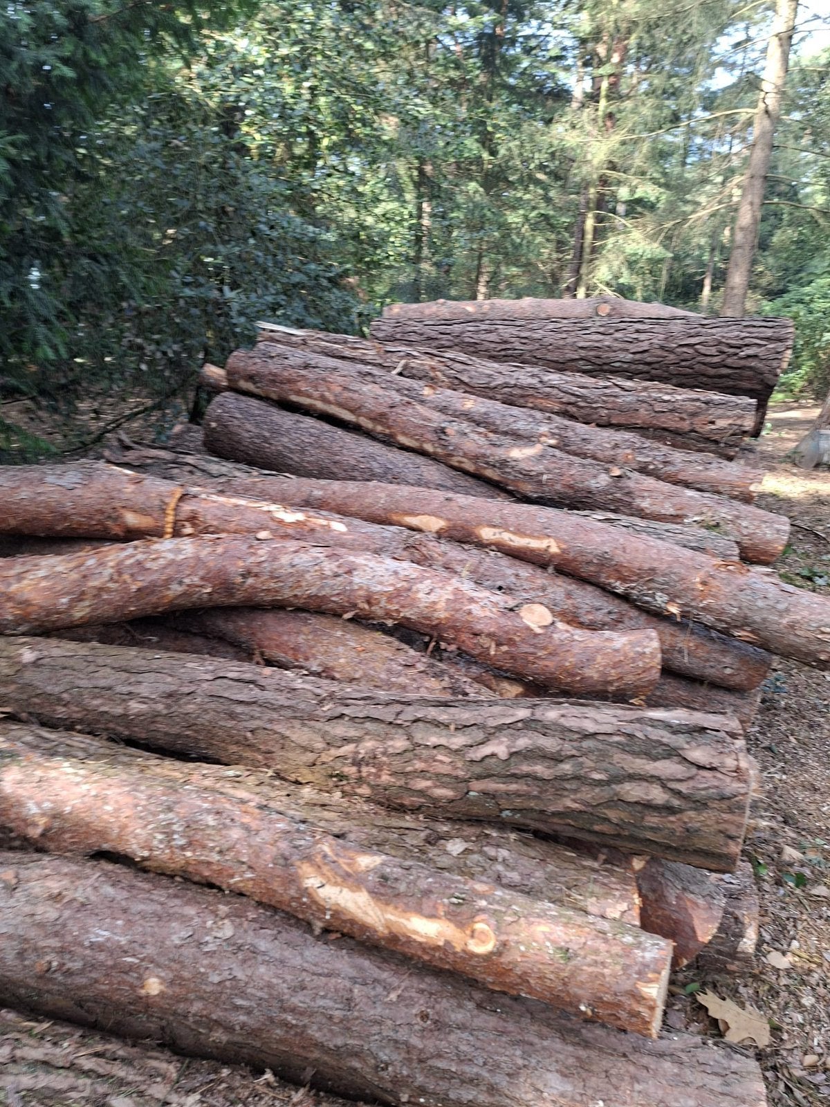 Haardhout, Tuin en Terras, 6 m³ of meer, Ophalen, Stammen