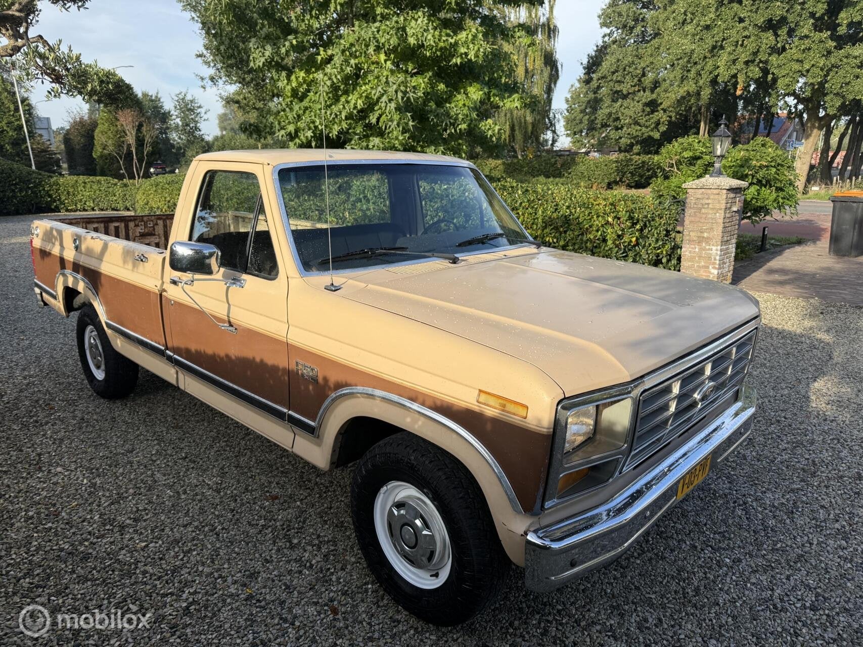 Ford F-150 5.0 V8 EFI Automaat 1986, foto 8