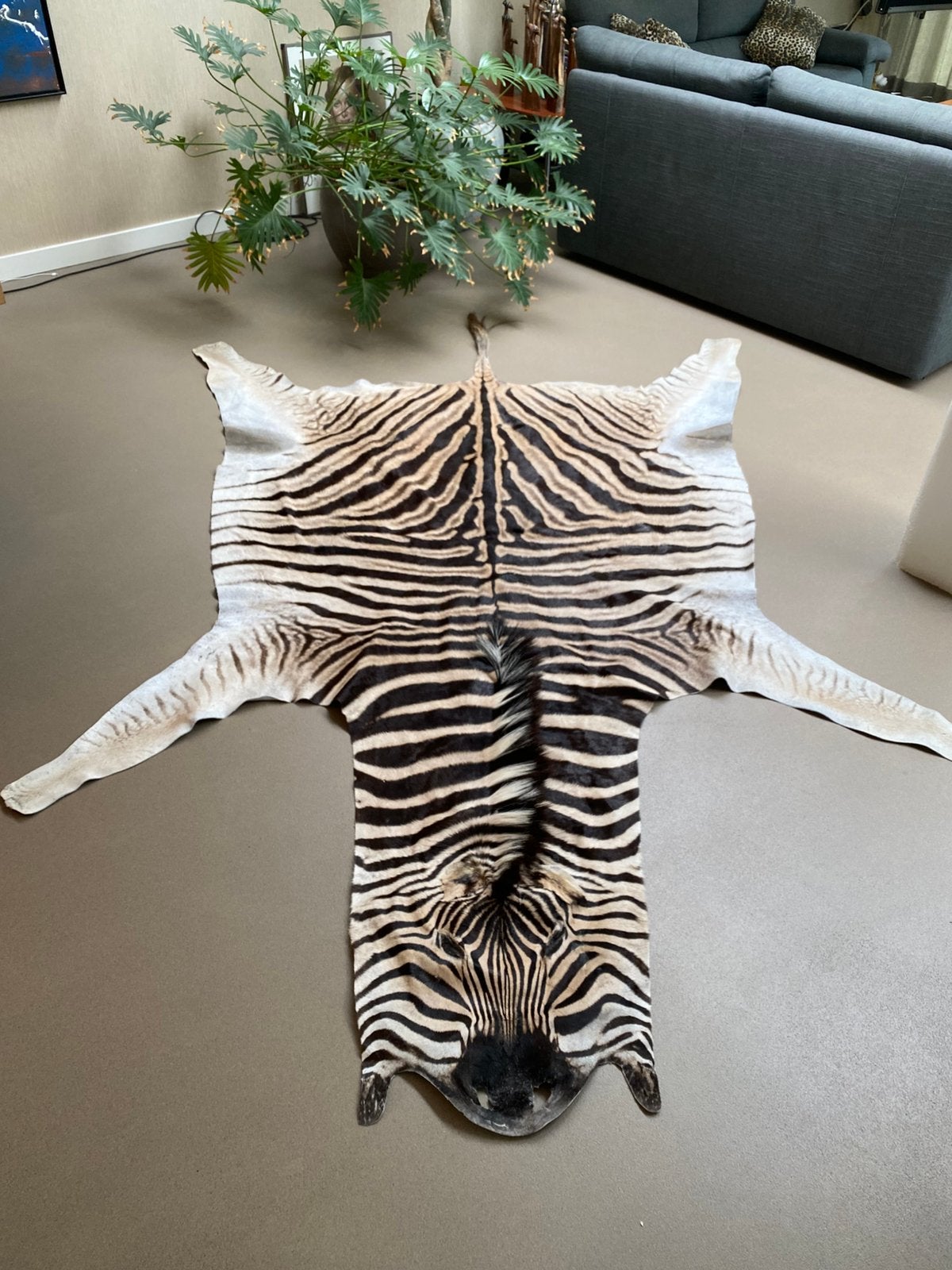Zebra huid, Verkoopstyling