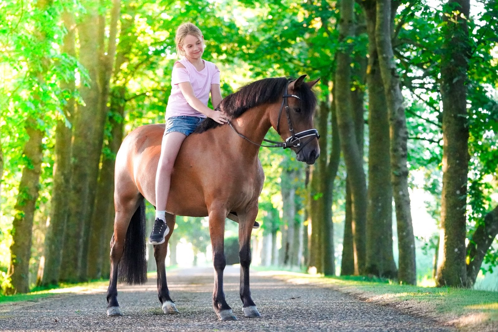 Betrouwbare kinderpony, Dieren en Toebehoren, Pony's, Merrie, B, 3 tot 6 jaar