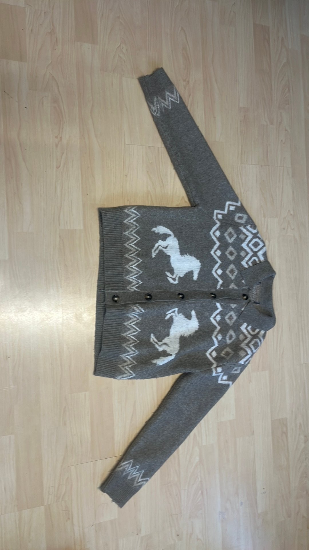 Paartrij kleding, Ophalen, Zo goed als nieuw, Dressuur, Schoeisel