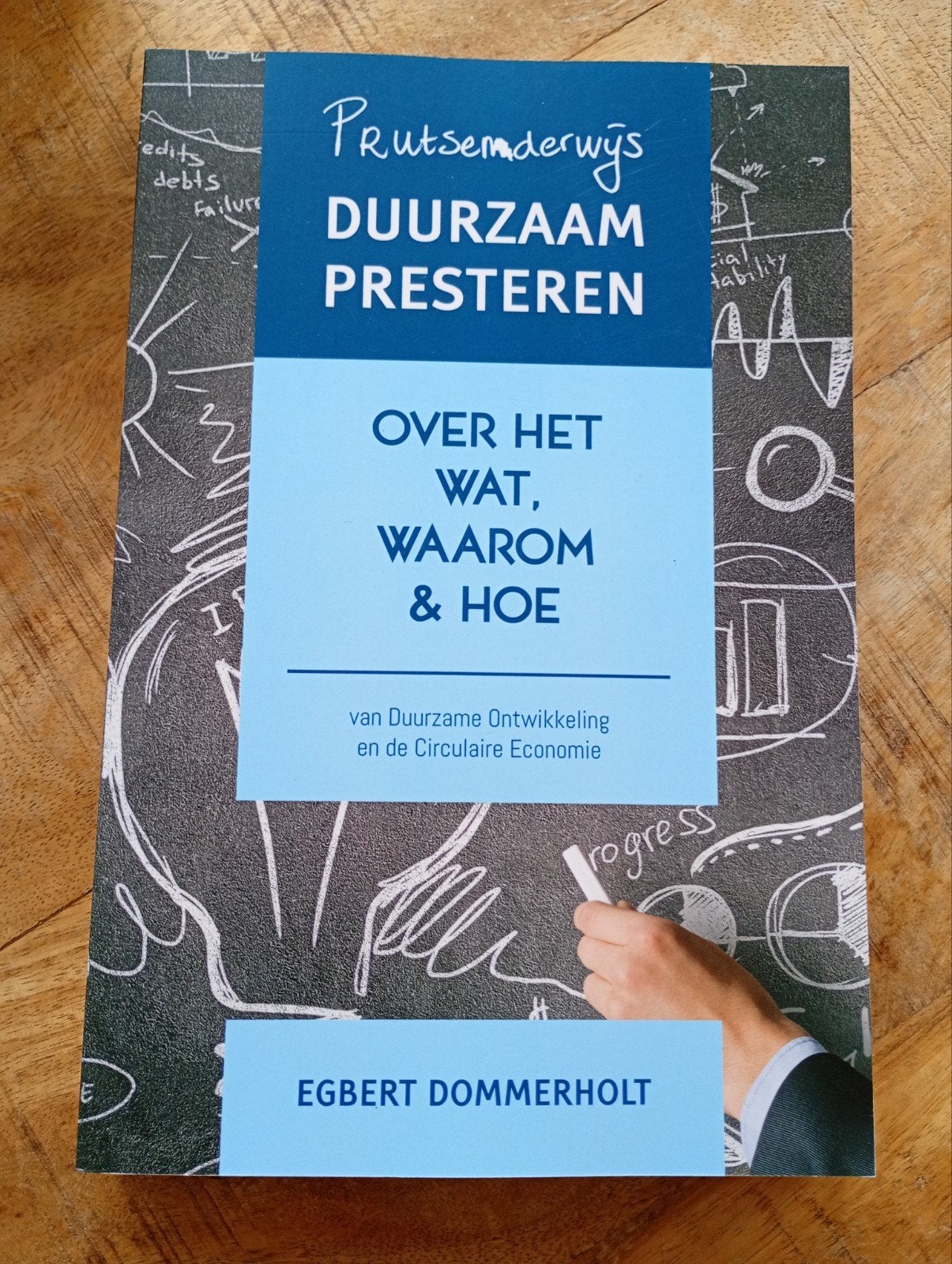 Duurzaam Presteren: Over het Wat, Waarom & Hoe, Ophalen of Verzenden, Zo goed als nieuw, Overige onderwerpen, Egbert Dommerholt