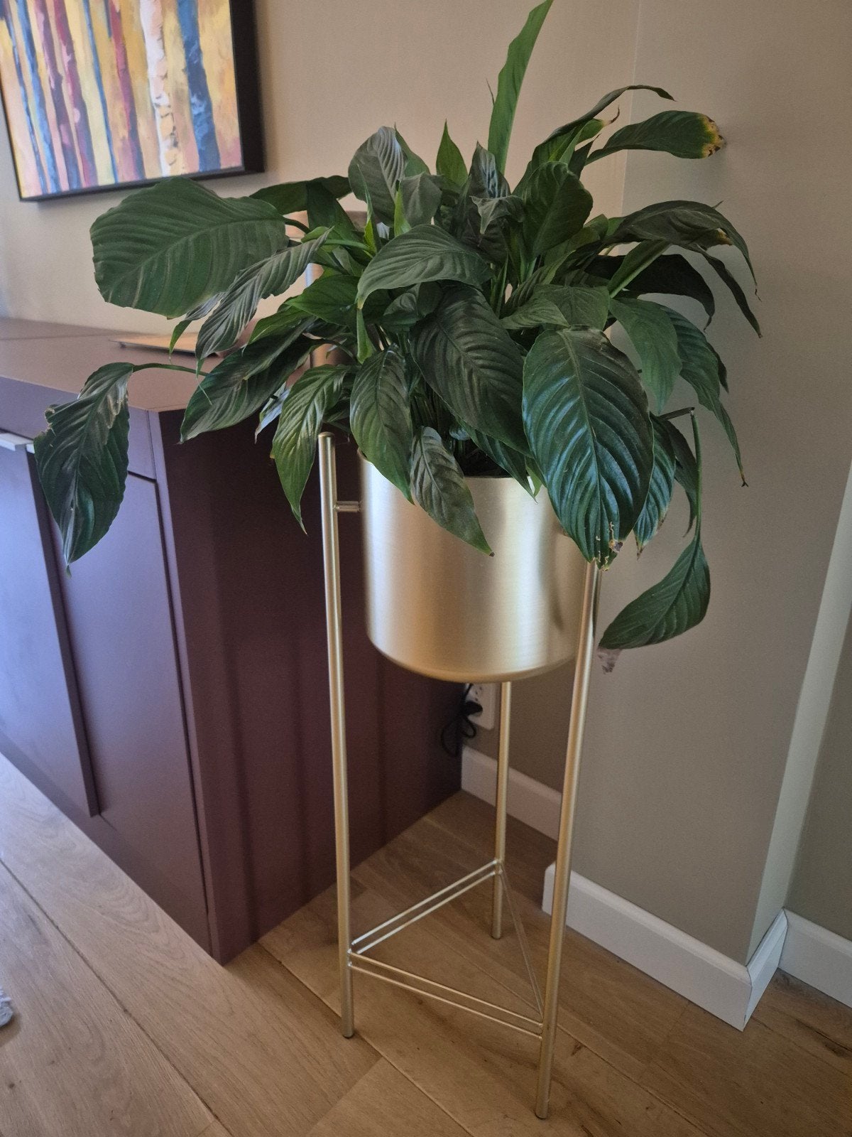 Grote Vredeslelie (Spathiphyllum) in gouden plantenstandaard, Ophalen, Zo goed als nieuw, Goud, Metaal