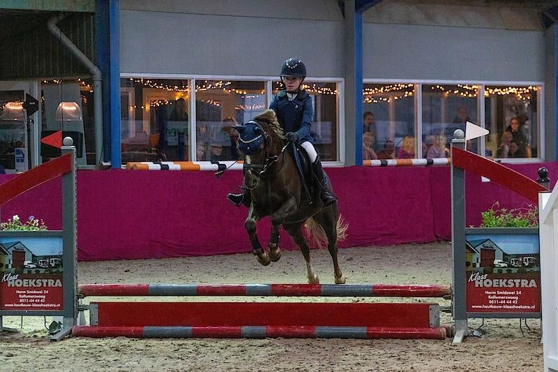 Leuke sport pony, Dieren en Toebehoren, Pony's, Ruin, Springpony, B pony (1.17m tot 1.27m), 11 jaar of ouder