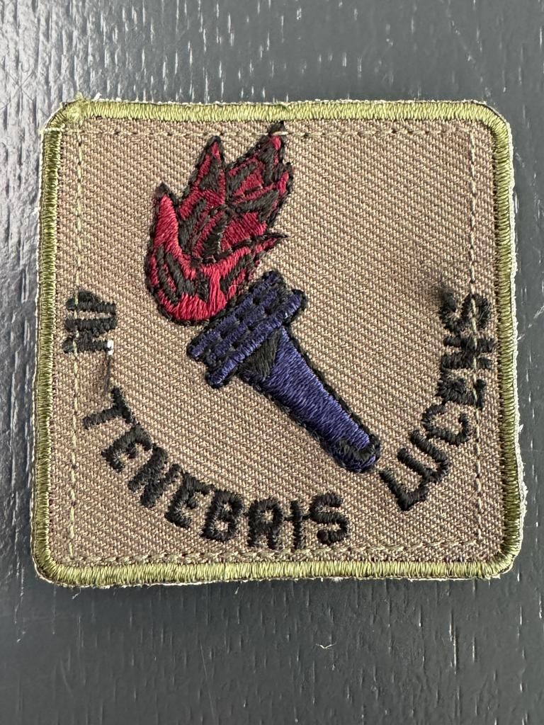 KL borstembleem MIVD, Ophalen of Verzenden, Landmacht, Nederland, Embleem of Badge