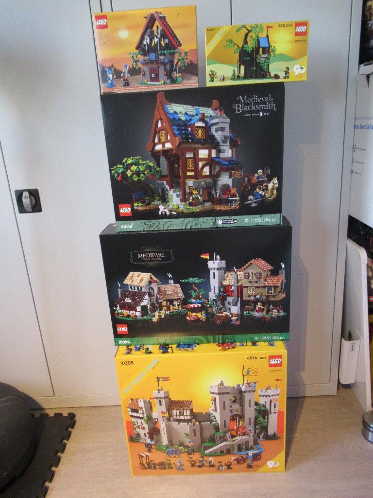 Compleet Lion Knights dorp, 5 sets, Lego 10305 plus 4, Kinderen en Baby's, Speelgoed | Duplo en Lego, Ophalen of Verzenden, Zo goed als nieuw