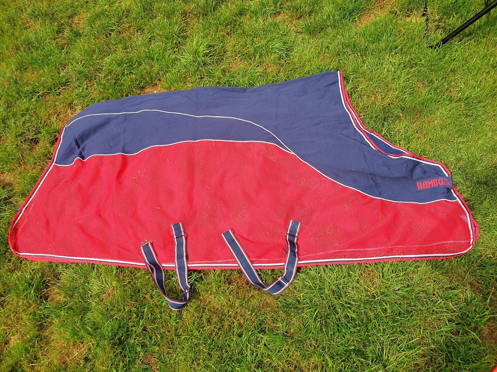 Rambo sport cooler 6.9, Dieren en Toebehoren, Ophalen of Verzenden