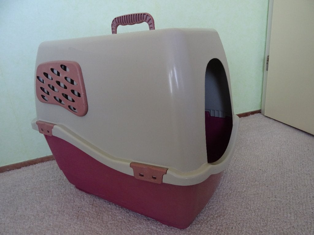 Kattenbak, Dieren en Toebehoren, Ophalen