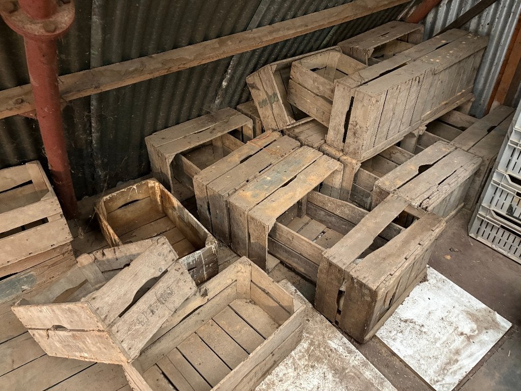veilingenkratten/houten kisten, Ophalen, Gebruikt, 50 tot 75 cm, Minder dan 35 cm