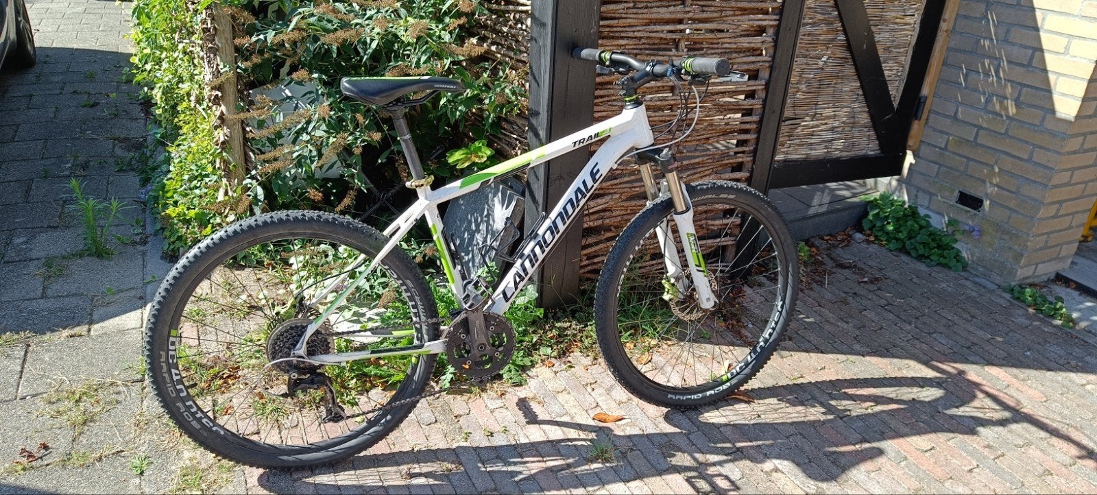Cannondale Trail Mountainbike - Zeer Nette Staat, Hardtail, Zo goed als nieuw, Schijfrem, Ophalen