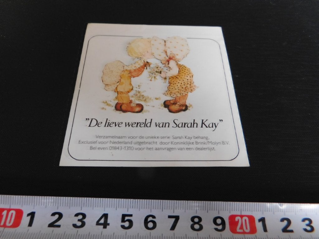 sticker De lieve wereld van Sarah Kay Brink/Molijn bv behang, Ophalen, Zo goed als nieuw