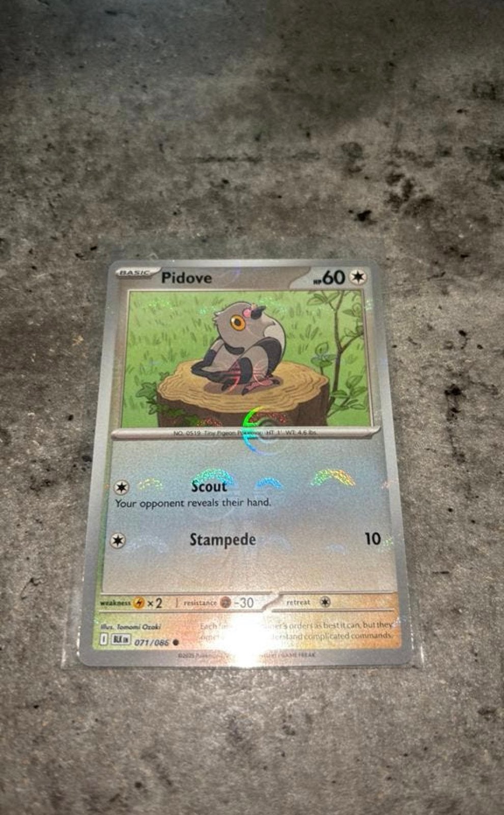 Pidove POKEBALL (071/086) Black Bolt, Ophalen of Verzenden, Zo goed als nieuw