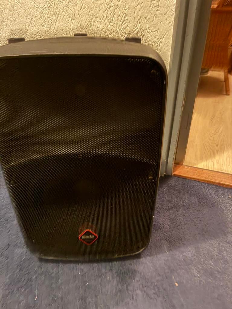 Party box / spieker met 2 microfoons, Overige typen, Zo goed als nieuw, 120 watt of meer, Ophalen