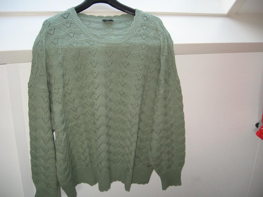 Nw ZIZZIE trui mos groen opengewerkt patroon €25.- Zie foto, Kleding | Dames, Grote Maten, Ophalen of Verzenden, Nieuw, Groen