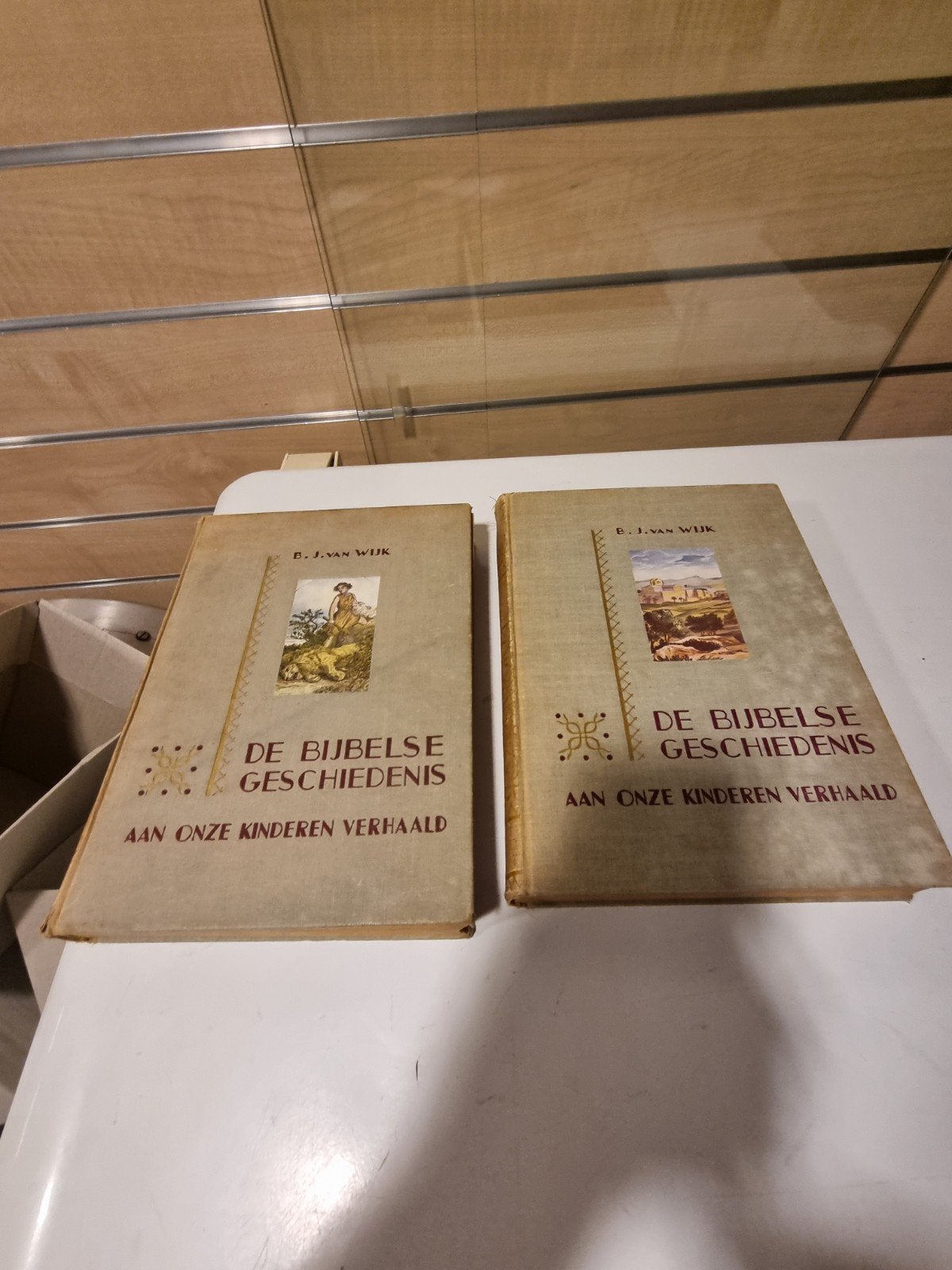 B.J.van Wijk.De Bijbelse geschiedenis aan onze kind.verhaald, Boeken, Ophalen of Verzenden, Gelezen, Christendom | Protestants