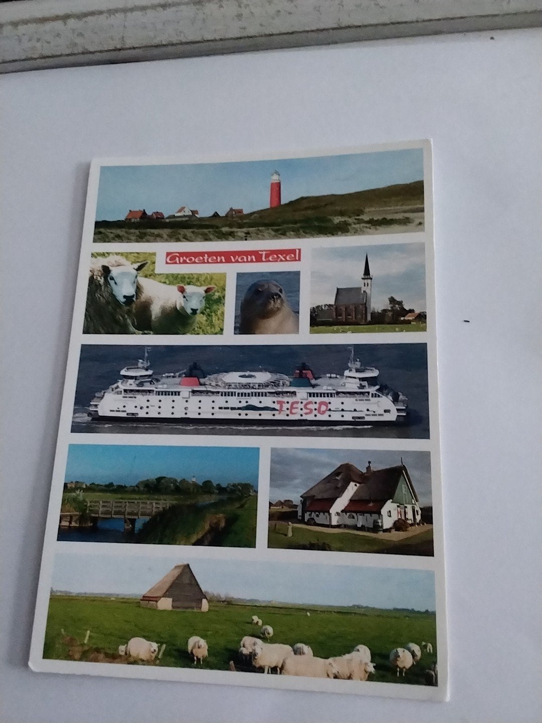 Ansichtkaart Groeten van Texel -, Ophalen of Verzenden, 1980 tot heden, Ongelopen, Waddeneilanden