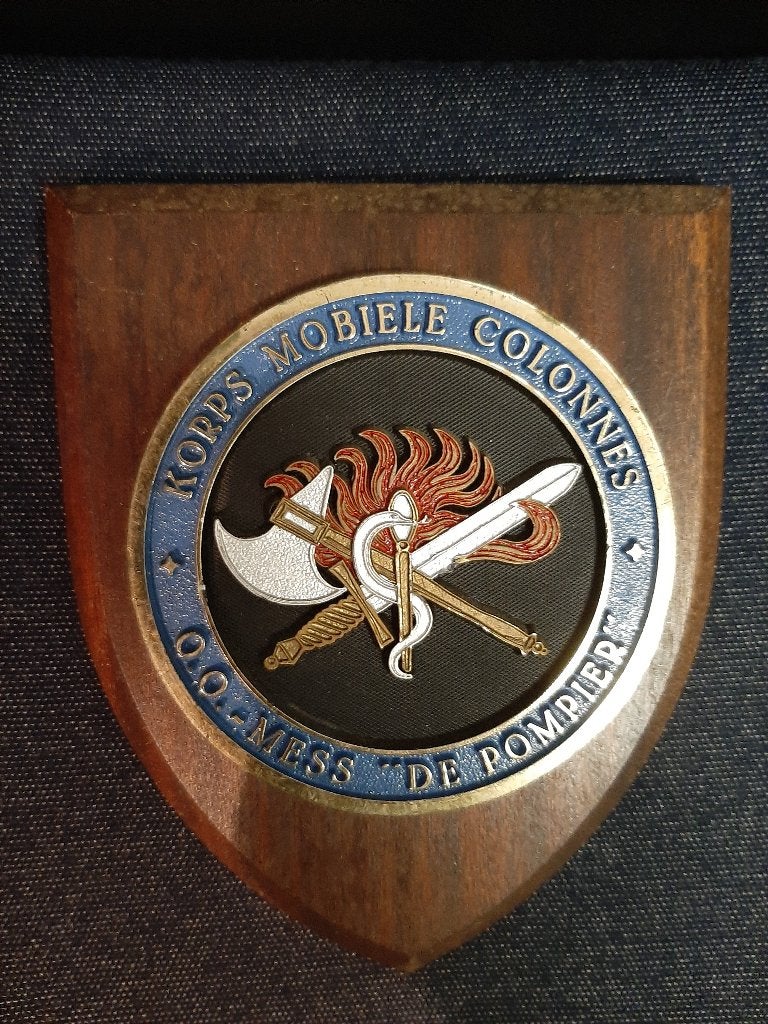 Militair wanddecoratie-embleem, Ophalen of Verzenden, Landmacht, Nederland, Embleem of Badge