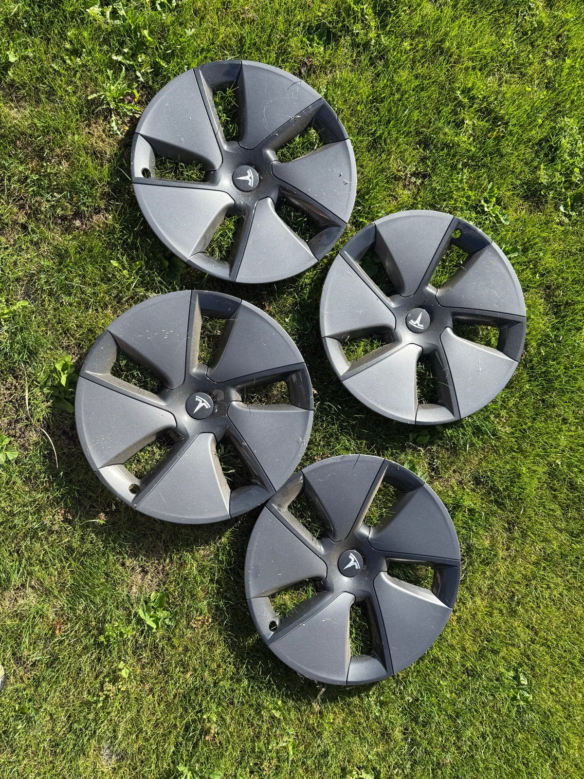 Velgen set Tesla Model 3 Wanneperveen