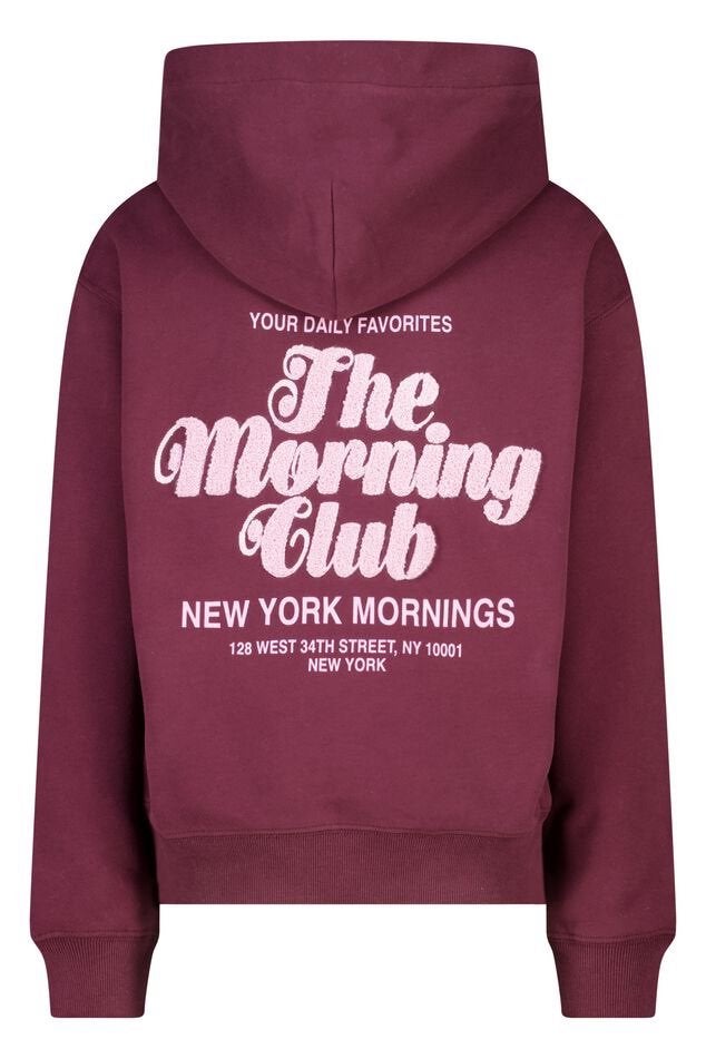America Today Hoodie Sana jr, Kleding | Dames, Nieuw, Ophalen of Verzenden, Maat 36 (S), America Today