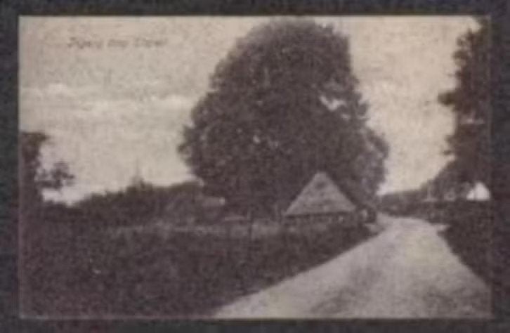 Elspeet Ingang Dorp Elspeet., Ophalen of Verzenden, Voor 1920, Ongelopen, Gelderland