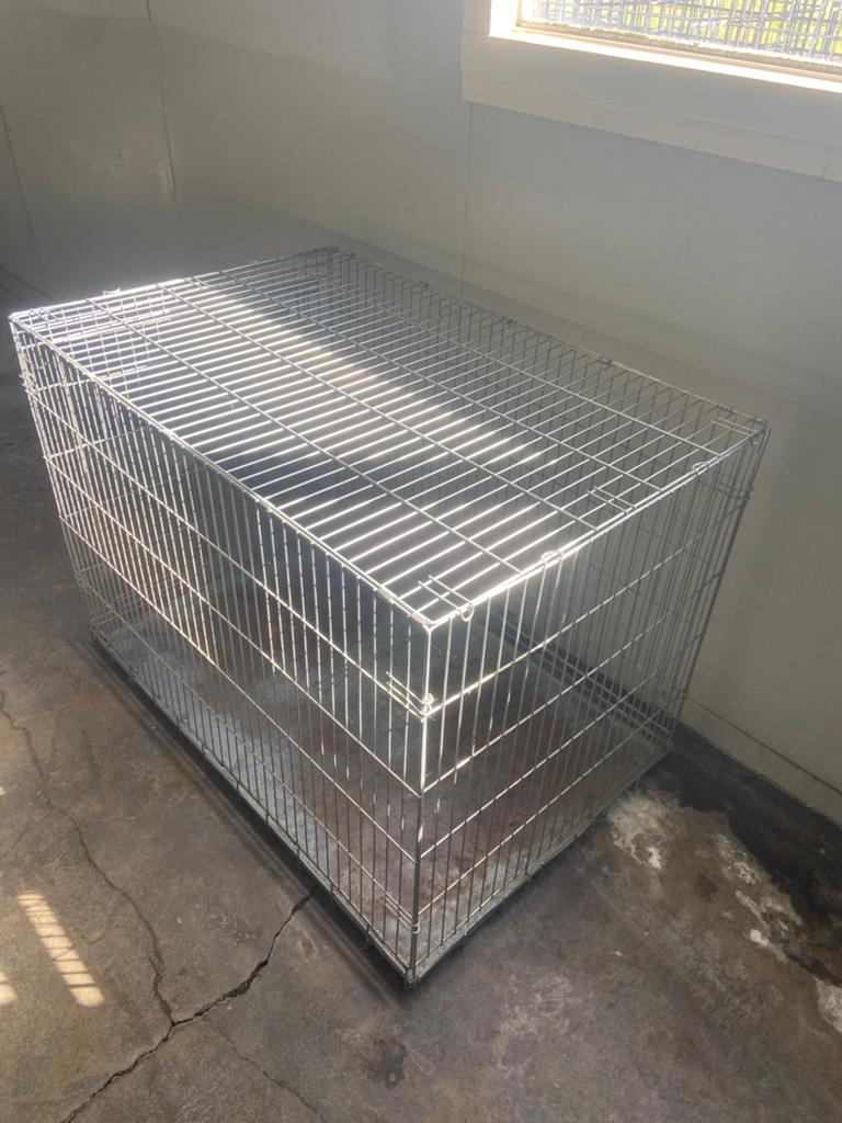 Honden bench, Dieren en Toebehoren, Hondenhokken, Ophalen, Gebruikt, 110 cm of meer, 65 tot 100 cm
