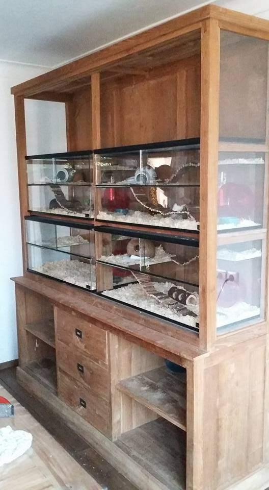 Terrarium hamster glas ruime hamsterkooi, Dieren en Toebehoren, Knaagdieren en Konijnen | Hokken en Kooien, Minder dan 60 cm, Nieuw