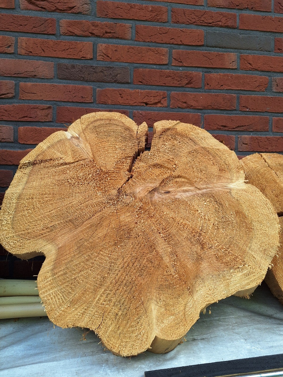 Grote houtschijf van boomstam, Minder dan 3 m³, Ophalen of Verzenden, Overige houtsoorten, Stammen