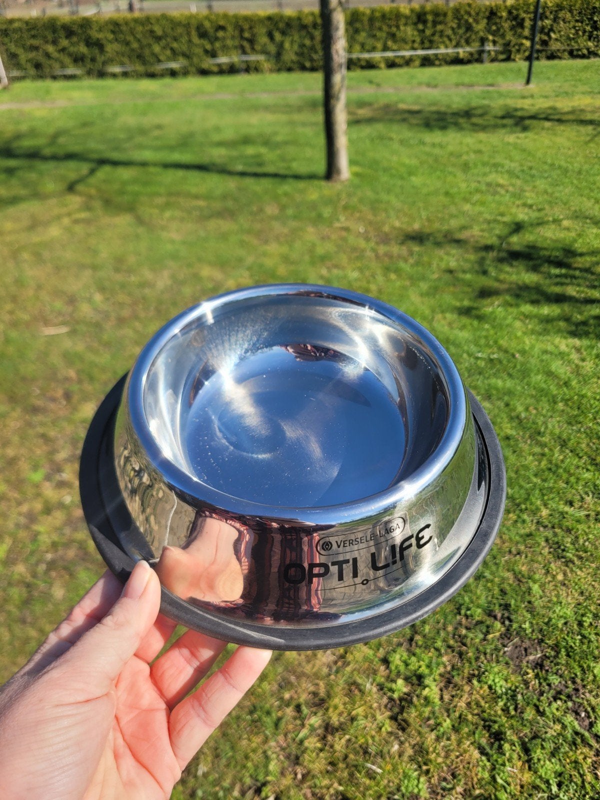 Honden voer/drinkbak, Ophalen of Verzenden, Nieuw