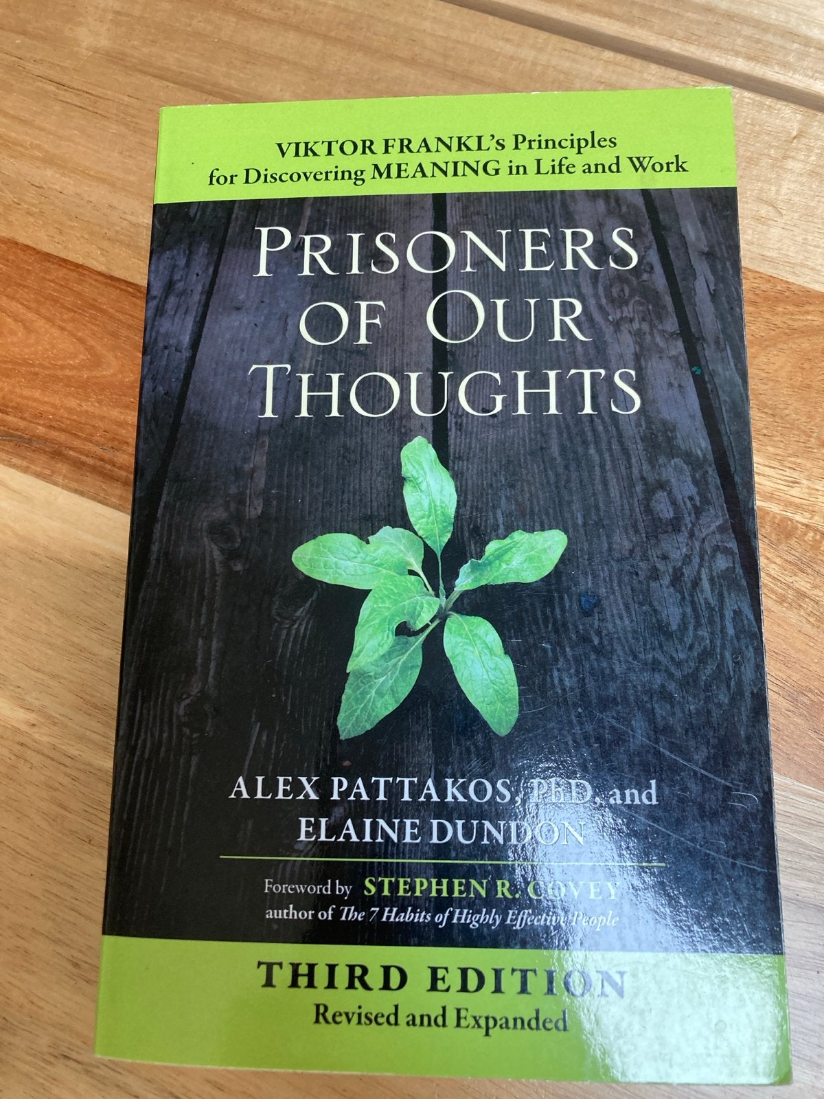 Prisoners of Our Thoughts - Viktor Frankl's Principles, Ophalen of Verzenden, Gelezen