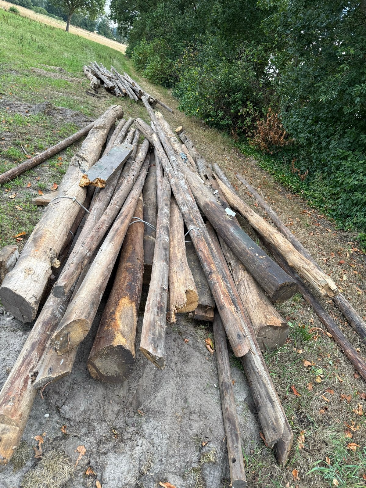 Oude eiken gebinten uit circa 1955, Doe-het-zelf en Verbouw, Gebruikt, Eiken, Ophalen of Verzenden, Balk