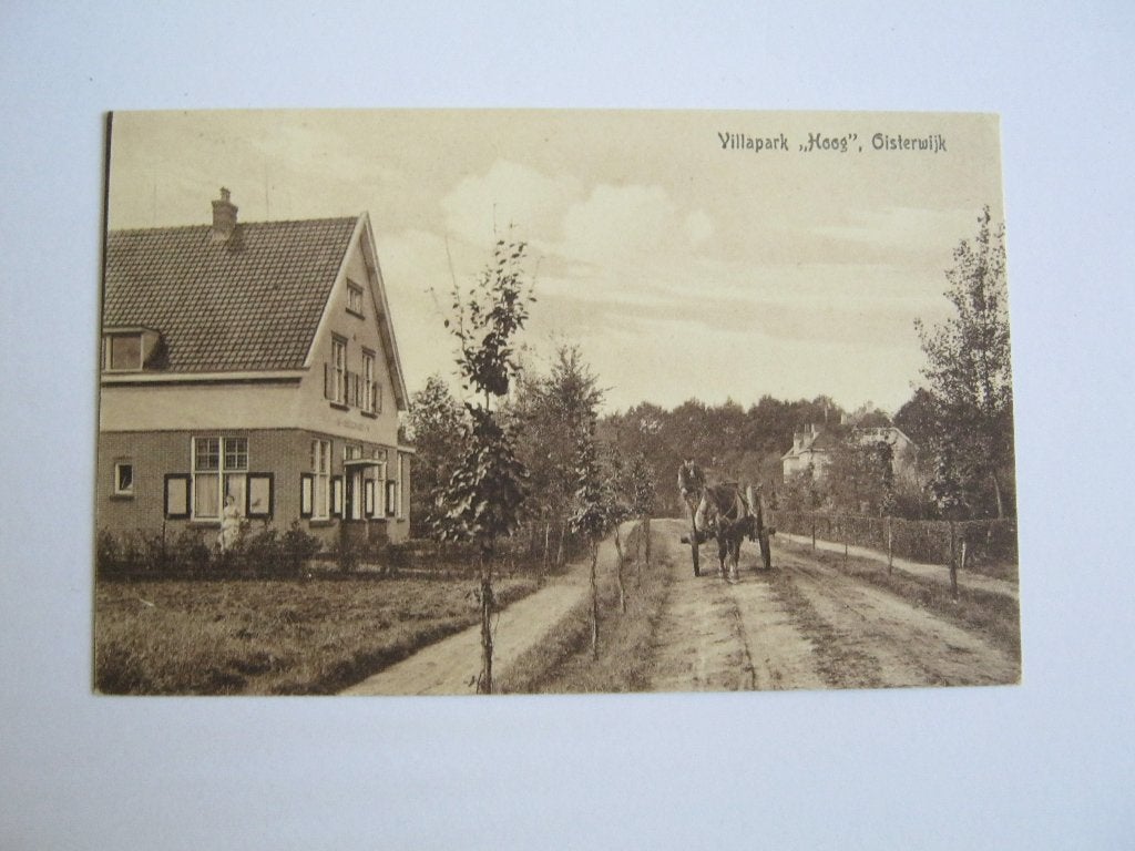 Ansichtkaarten Nederland, TC 9-95 Oisterwijk, Villapark "H", Ophalen of Verzenden, Voor 1920, Gelopen, Noord-Brabant