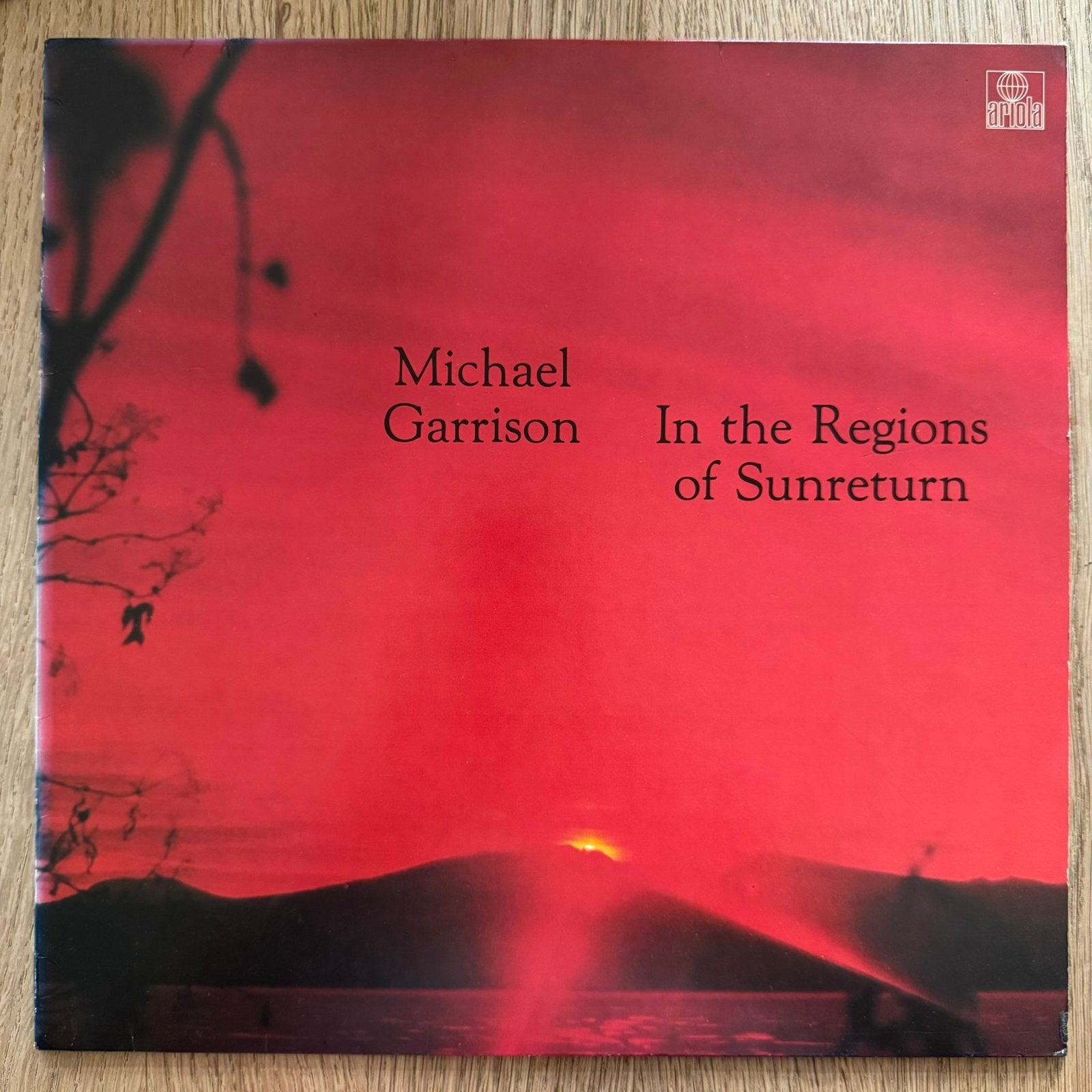 Michael Garrison In The Region Of Sunreturn LP Vinyl 1982, Gebruikt, Fotohoes, Electronic Rock, Ophalen of Verzenden