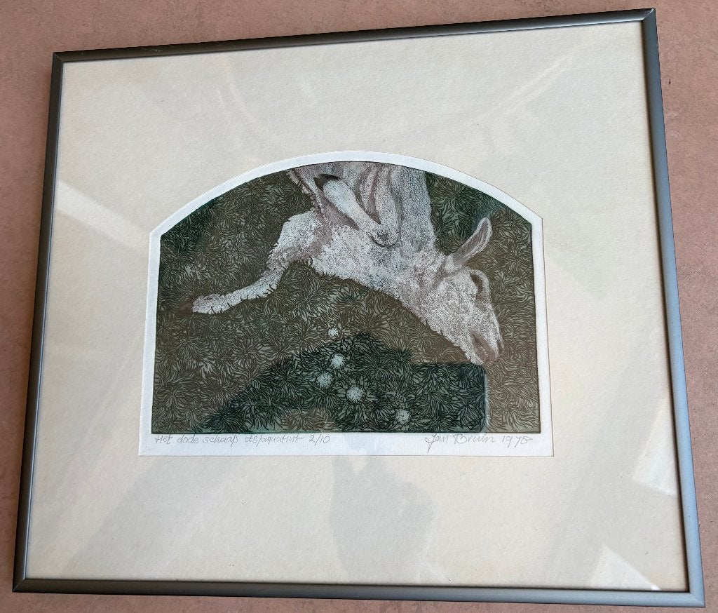 Aquatint 'Het dode schaap' (Jan Jacob Bruin, 1978, Texel), Antiek en Kunst, Kunst | Etsen en Gravures, Met tekst, 34 cm, 30 cm