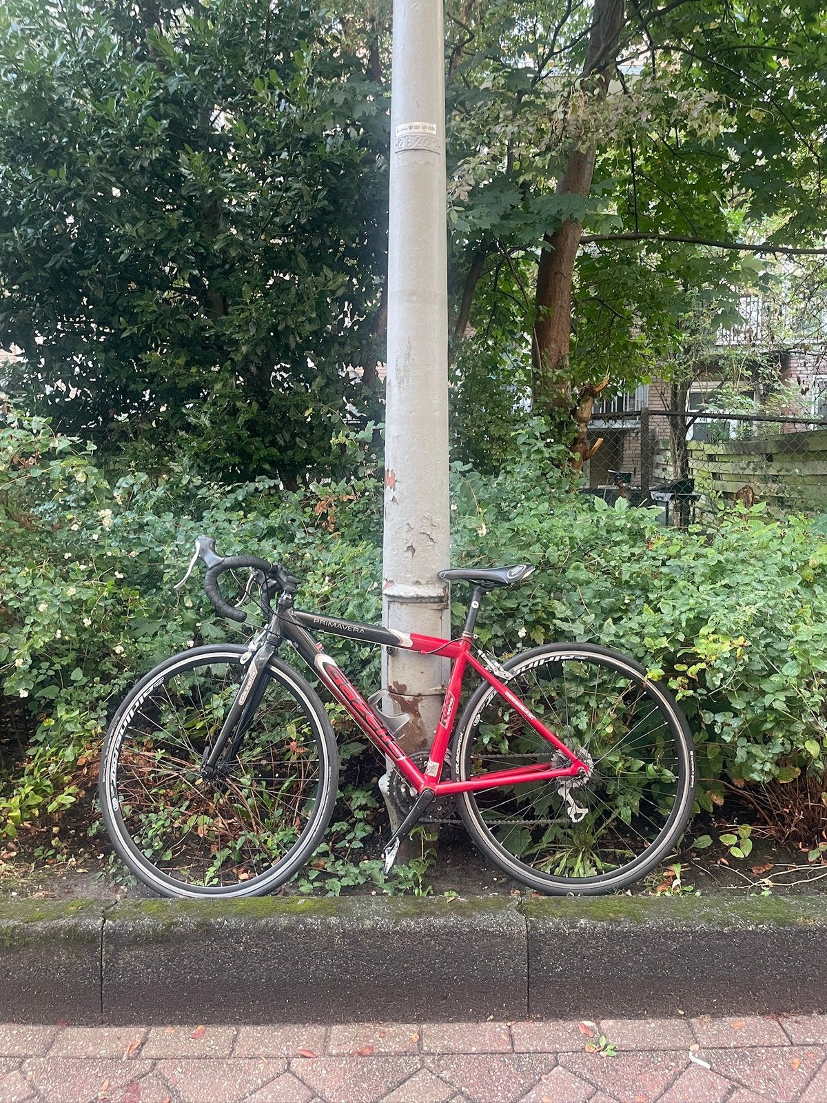 Gazelle 44cm Road Bike, Fietsen en Brommers, Velgrem, Aluminium, Dames, Meer dan 20 versnellingen