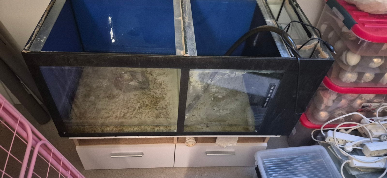 2 kweekbakken, Dieren en Toebehoren, Ophalen, Gebruikt, Leeg aquarium