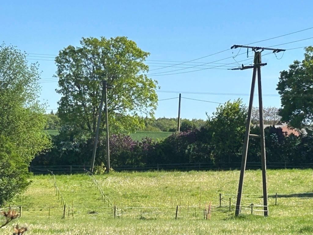 Plek voor een ruin!, Dieren en Toebehoren, Stalling en Weidegang, Weidegang, 1 paard of pony